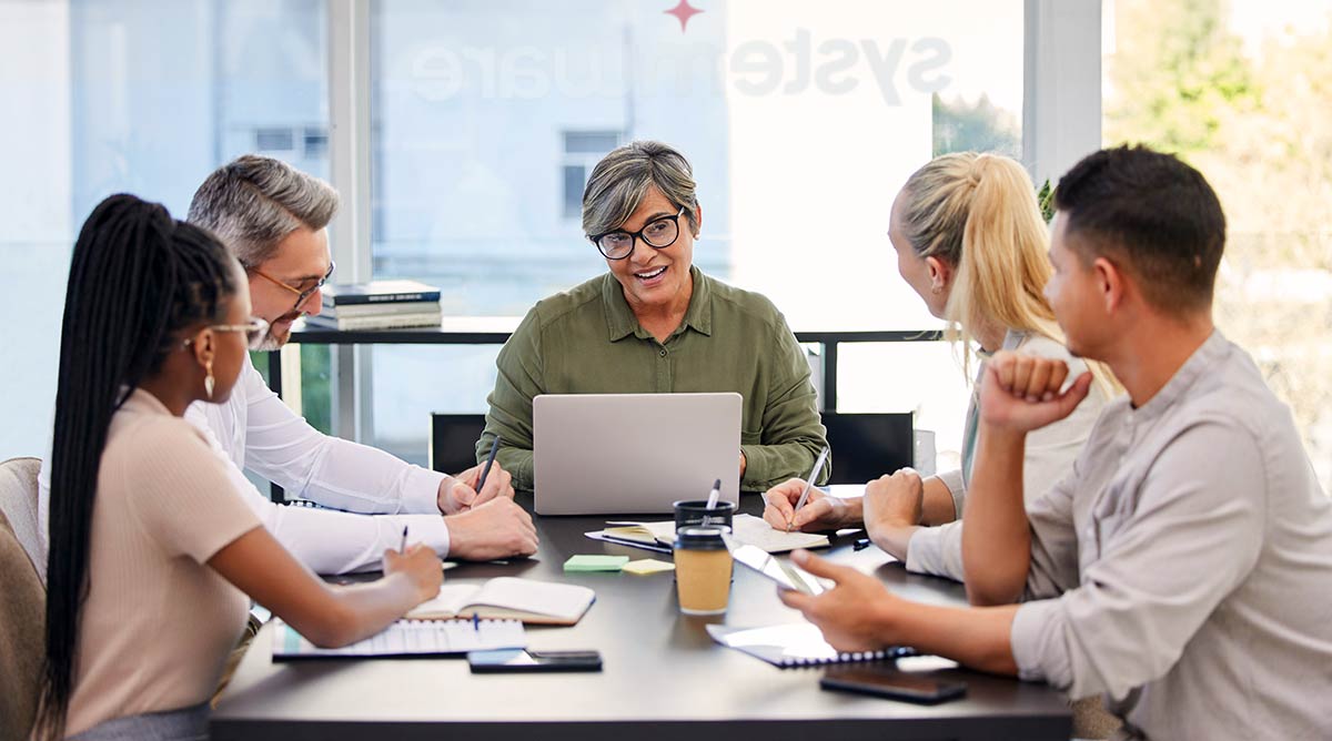 Shot of the Cabnit and Systemware team having a meeting.